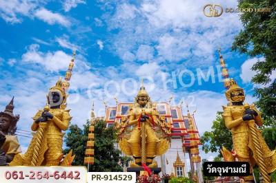 ที่ดินลาดใหญ่ 5 ไร่ 23 ตร.ว. สมุทรสงคราม ใกล้วัดลาดเป้ง-3