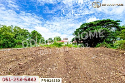 ที่ดินวัดตูม 1 ไร่ 211 ตร.ว. พระนครศรีอยุธยา ใกล้วัดท่าโขลง-9