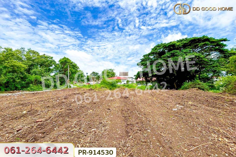 ที่ดินวัดตูม 1 ไร่ 211 ตร.ว. พระนครศรีอยุธยา ใกล้วัดท่าโขลง-9