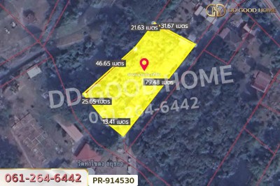 ที่ดินวัดตูม 1 ไร่ 211 ตร.ว. พระนครศรีอยุธยา ใกล้วัดท่าโขลง-5