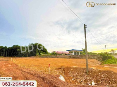 ที่ดิน ทุ่งใหญ่ 1 ไร่ 100 ตร.ว. นครศรีธรรมราช-2