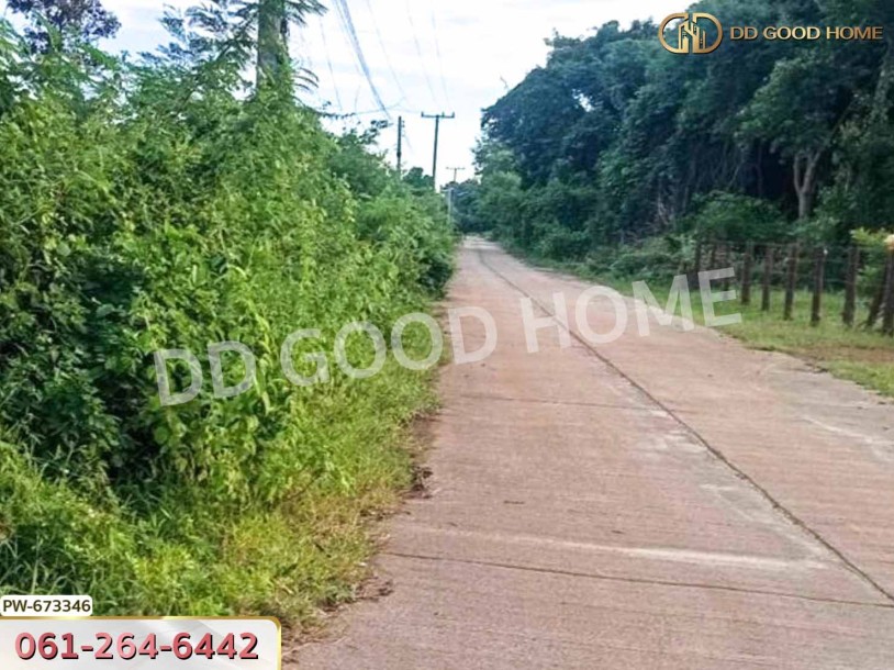 ที่ดินเมืองหนองคาย 8 ไร่ 170 ตร.ว. ใกล้วัดป่าวิทูนโพธิ์-9