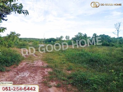 ที่ดินเมืองหนองคาย 8 ไร่ 170 ตร.ว. ใกล้วัดป่าวิทูนโพธิ์-7