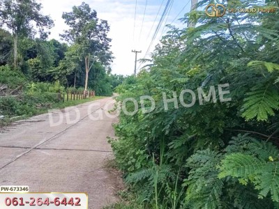 ที่ดินเมืองหนองคาย 8 ไร่ 170 ตร.ว. ใกล้วัดป่าวิทูนโพธิ์-6