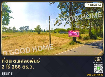 ที่ดิน ต.แสลงพันธ์ 2 ไร่ 266 ตร.ว. สุรินทร์-1