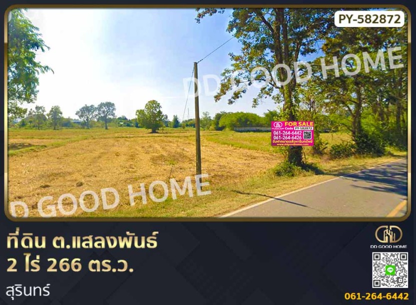 ที่ดิน ต.แสลงพันธ์ 2 ไร่ 266 ตร.ว. สุรินทร์-1