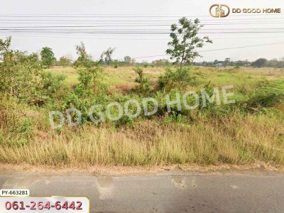 ที่ดินดงเจริญ 2 ไร่ 218 ตร.ว. พิจิตร ใกล้ โรงพยาบาลดงเจริญ-8