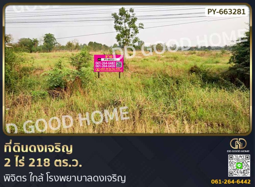ที่ดินดงเจริญ 2 ไร่ 218 ตร.ว. พิจิตร ใกล้ โรงพยาบาลดงเจริญ-1
