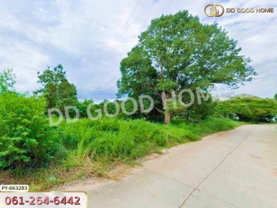 ที่ดินเมืองมุกดาหาร 14 ไร่ 233 ตร.ว ใกล้บิ๊กซีมุกดาหาร-8