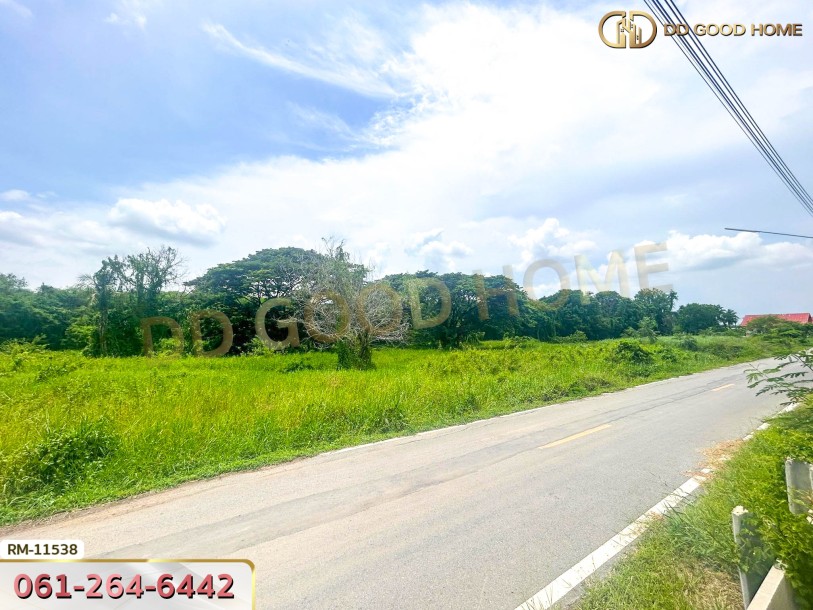 ที่ดินเปล่า 82 ตร.ว. ต.มหาสวัสดิ์ อ.พุทธมณฑล-6