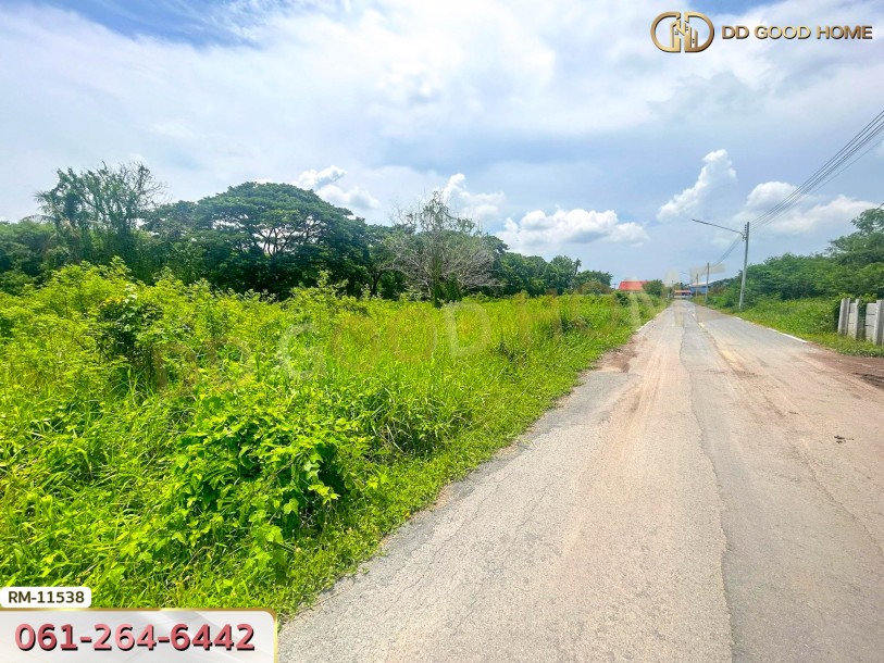 ที่ดินเปล่า 82 ตร.ว. ต.มหาสวัสดิ์ อ.พุทธมณฑล-3