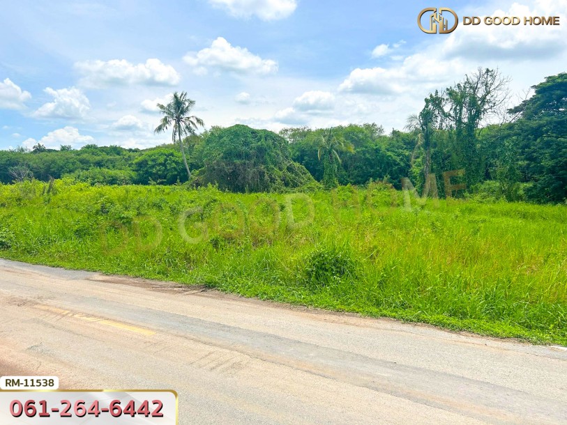 ที่ดินเปล่า 82 ตร.ว. ต.มหาสวัสดิ์ อ.พุทธมณฑล-2