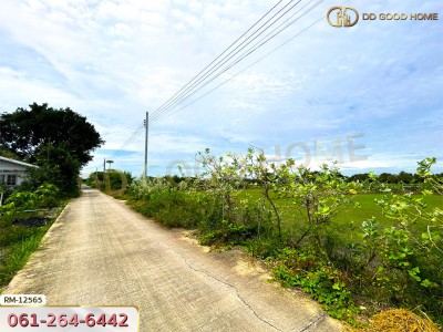 ที่ดินเปล่า 198.9 ตร.ว. ต.หนองเพรางาย อ.ไทรน้อย