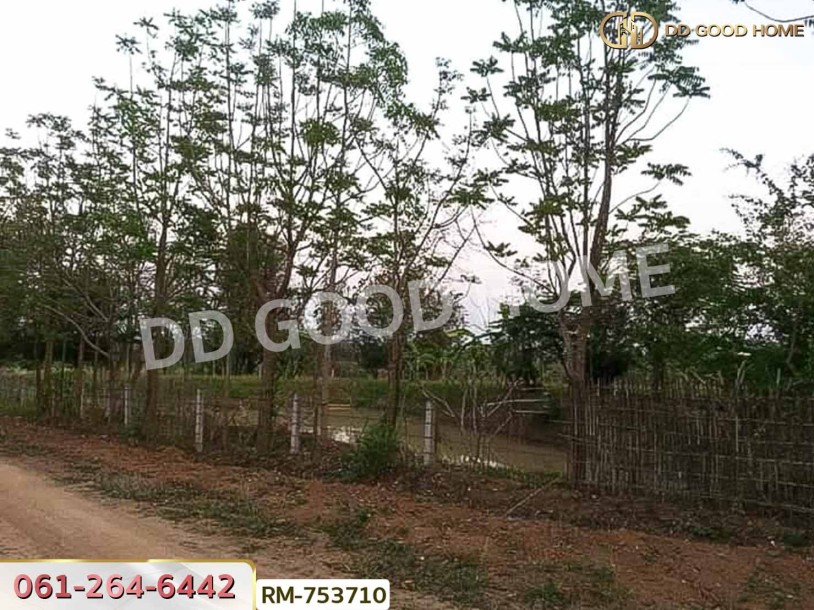 ที่ดิน 1 ไร่ 376 ตร.ว. โครงการภูหินวิวรีสอร์ท เพชรบูรณ์-7