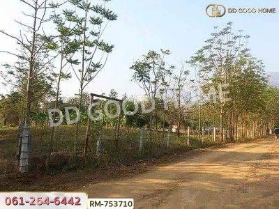 ที่ดิน 1 ไร่ 376 ตร.ว. โครงการภูหินวิวรีสอร์ท เพชรบูรณ์