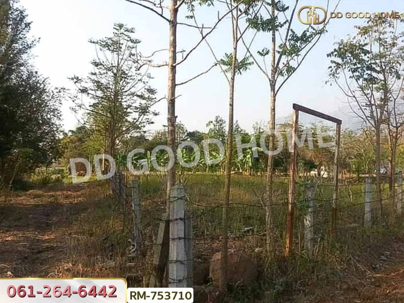 ที่ดิน 1 ไร่ 376 ตร.ว. โครงการภูหินวิวรีสอร์ท เพชรบูรณ์-2