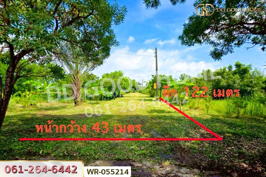 ที่ดินพร้อมสิ่งปลูกสร้างดอนตูม 3 ไร่ 207 ตร.ว. นครปฐม ใกล้สำนักงานที่ดินจังหวัดนครปฐม สาขาบางเลน-4