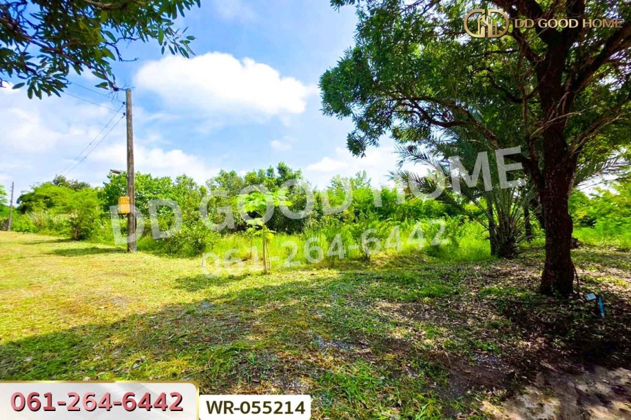 ที่ดินพร้อมสิ่งปลูกสร้างดอนตูม 3 ไร่ 207 ตร.ว. นครปฐม ใกล้สำนักงานที่ดินจังหวัดนครปฐม สาขาบางเลน-3