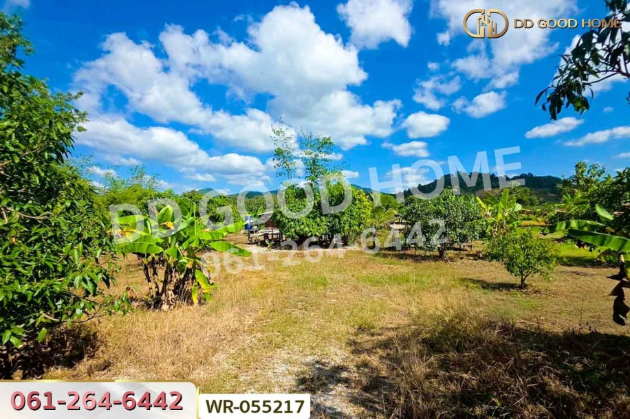 ที่ดินพร้อมบ้านแฝดเชียงคาน 2 ไร่ 184.5 ตร.ว. เลย ใกล้ถนนคนเดินเชียงคาน-6