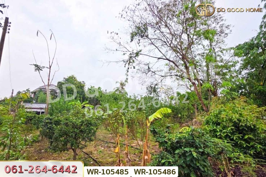 ที่ดินพร้อมบ้านเดี่ยวบ้านฉาง 1 ไร่ 190.7 ตร.ว. ระยอง ใกล้สนามบินอู่ตะเภา-5