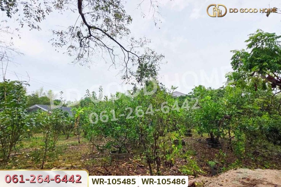 ที่ดินพร้อมบ้านเดี่ยวบ้านฉาง 1 ไร่ 190.7 ตร.ว. ระยอง ใกล้สนามบินอู่ตะเภา-4
