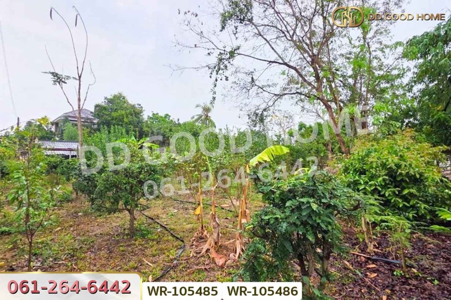 ที่ดินพร้อมบ้านเดี่ยวบ้านฉาง 1 ไร่ 190.7 ตร.ว. ระยอง ใกล้สนามบินอู่ตะเภา-3