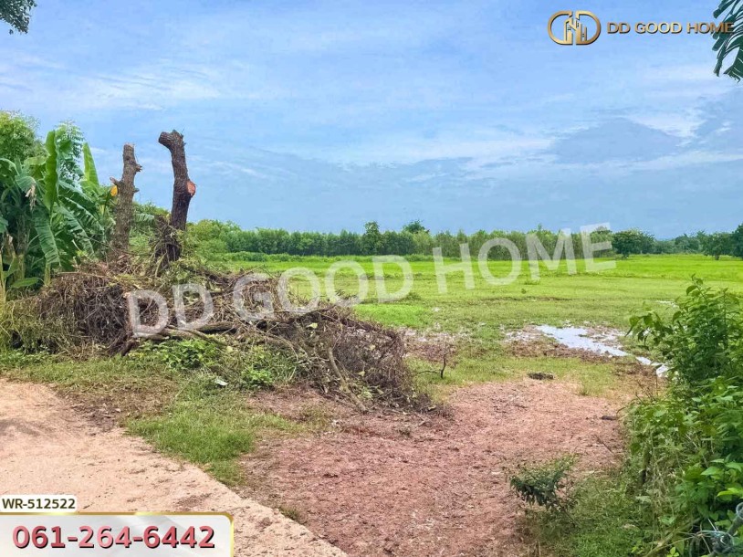 ที่ดินกบินทร์บุรี 25 ไร่ 212 ตร.ว. ปราจีนบุรี ใกล้วัดกลางเมืองเก่า-3