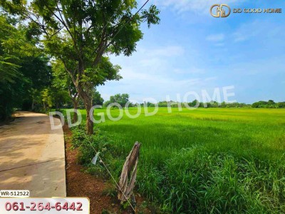 ที่ดินกบินทร์บุรี 25 ไร่ 212 ตร.ว. ปราจีนบุรี ใกล้วัดกลางเมืองเก่า-9