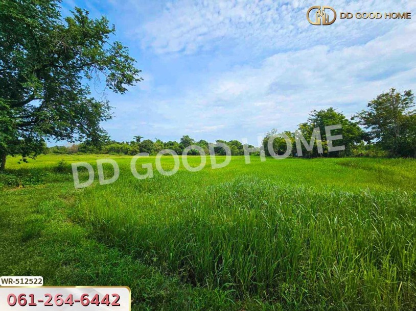 ที่ดินกบินทร์บุรี 25 ไร่ 212 ตร.ว. ปราจีนบุรี ใกล้วัดกลางเมืองเก่า-8