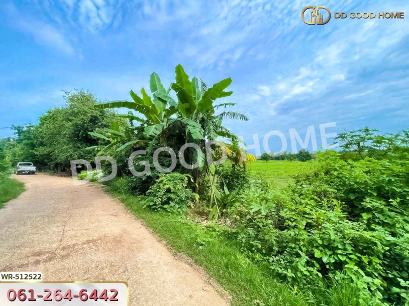 ที่ดินกบินทร์บุรี 25 ไร่ 212 ตร.ว. ปราจีนบุรี ใกล้วัดกลางเมืองเก่า-5
