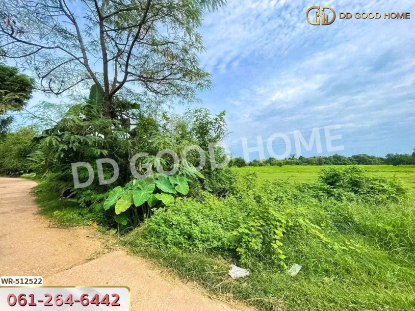ที่ดินกบินทร์บุรี 25 ไร่ 212 ตร.ว. ปราจีนบุรี ใกล้วัดกลางเมืองเก่า-4