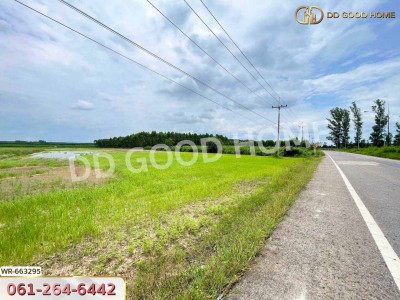 ที่ดินศรีมหาโพธิ 44 ไร่ 178 ตร.ว. ปราจีนบุรี ใกล้นิคมโรจนะปราจีนบุรี-2