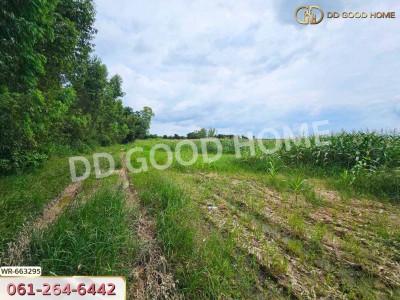 ที่ดินศรีมหาโพธิ 44 ไร่ 178 ตร.ว. ปราจีนบุรี ใกล้นิคมโรจนะปราจีนบุรี-10