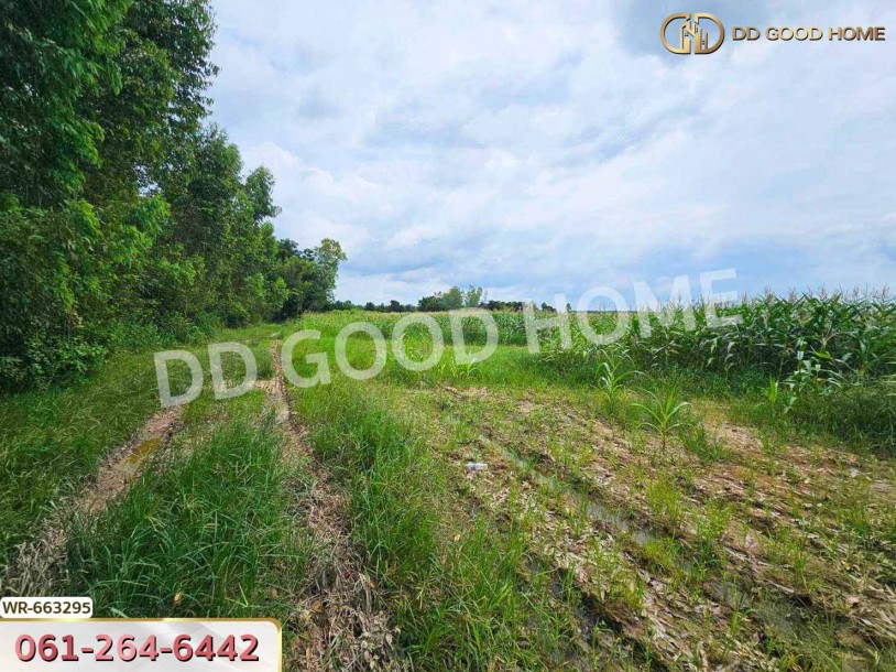 ที่ดินศรีมหาโพธิ 44 ไร่ 178 ตร.ว. ปราจีนบุรี ใกล้นิคมโรจนะปราจีนบุรี-10