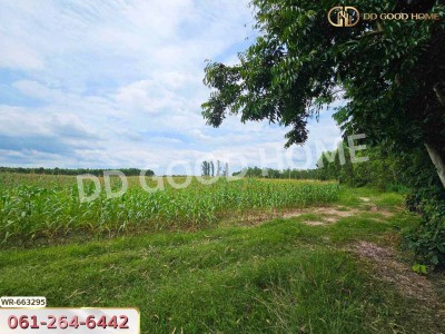 ที่ดินศรีมหาโพธิ 44 ไร่ 178 ตร.ว. ปราจีนบุรี ใกล้นิคมโรจนะปราจีนบุรี-9