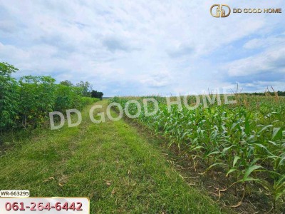 ที่ดินศรีมหาโพธิ 44 ไร่ 178 ตร.ว. ปราจีนบุรี ใกล้นิคมโรจนะปราจีนบุรี-8