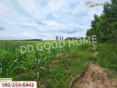 ที่ดินศรีมหาโพธิ 44 ไร่ 178 ตร.ว. ปราจีนบุรี ใกล้นิคมโรจนะปราจีนบุรี-7