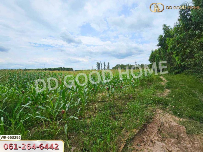 ที่ดินศรีมหาโพธิ 44 ไร่ 178 ตร.ว. ปราจีนบุรี ใกล้นิคมโรจนะปราจีนบุรี-7