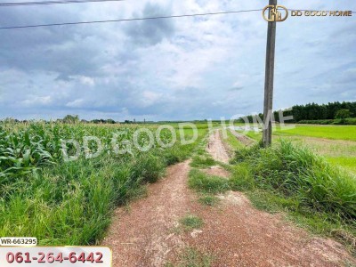 ที่ดินศรีมหาโพธิ 44 ไร่ 178 ตร.ว. ปราจีนบุรี ใกล้นิคมโรจนะปราจีนบุรี-5