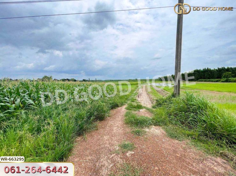 ที่ดินศรีมหาโพธิ 44 ไร่ 178 ตร.ว. ปราจีนบุรี ใกล้นิคมโรจนะปราจีนบุรี-5