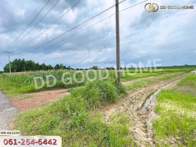 ที่ดินศรีมหาโพธิ 44 ไร่ 178 ตร.ว. ปราจีนบุรี ใกล้นิคมโรจนะปราจีนบุรี-4
