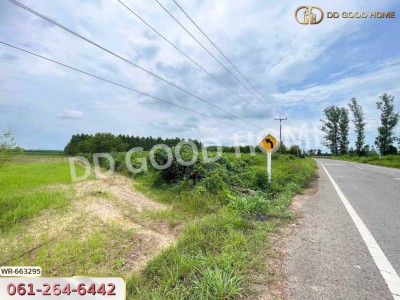 ที่ดินศรีมหาโพธิ 44 ไร่ 178 ตร.ว. ปราจีนบุรี ใกล้นิคมโรจนะปราจีนบุรี-3