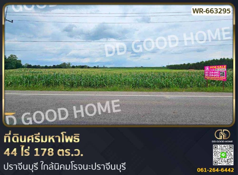 ที่ดินศรีมหาโพธิ 44 ไร่ 178 ตร.ว. ปราจีนบุรี ใกล้นิคมโรจนะปราจีนบุรี-1