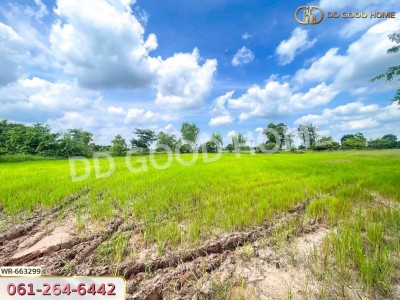 ที่ดินพระทองคำ 16 ไร่ 62 ตร.ว. นครราชสีมา ใกล้สำนักงานที่ดินโนนไทย