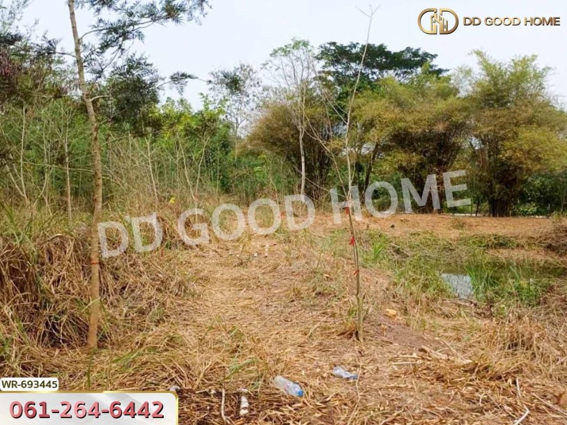 ที่ดินหัวหิน 3 ไร่ ประจวบคีรีขันธ์ ใกล้วัดห้วยมงคล-8