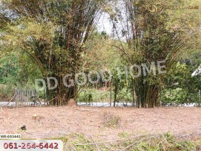 ที่ดินหัวหิน 3 ไร่ ประจวบคีรีขันธ์ ใกล้วัดห้วยมงคล-5