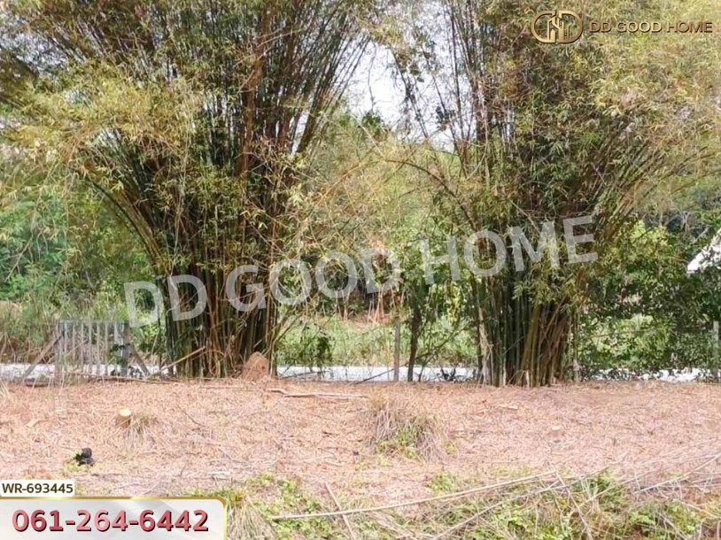 ที่ดินหัวหิน 3 ไร่ ประจวบคีรีขันธ์ ใกล้วัดห้วยมงคล-5