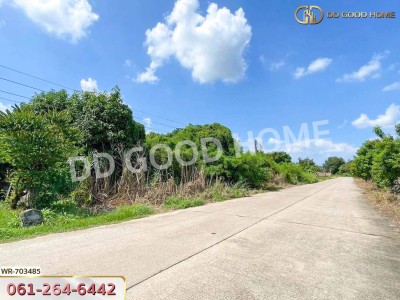 ที่ดินเกาะจันทร์ 2 ไร่ 228.1 ตร.ว. ชลบุรี ใกล้โรงเรียนเกาะโพธิ์ถ้วยงามวิทยา