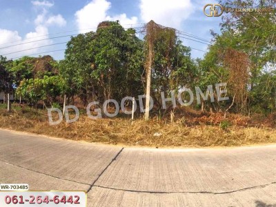 ที่ดินเกาะจันทร์ 2 ไร่ 228.1 ตร.ว. ชลบุรี ใกล้โรงเรียนเกาะโพธิ์ถ้วยงามวิทยา