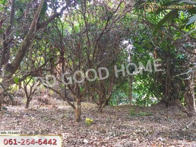 ที่ดินเกาะจันทร์ 2 ไร่ 228.1 ตร.ว. ชลบุรี ใกล้โรงเรียนเกาะโพธิ์ถ้วยงามวิทยา